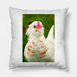 White Barbu d'Uccle bantam chicken Pillow