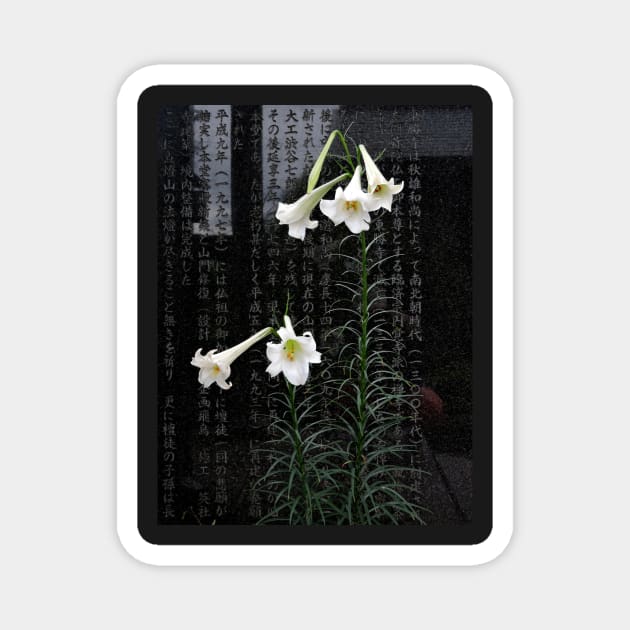 Lilies in a Japanese Temple Garden Magnet by kansaikate