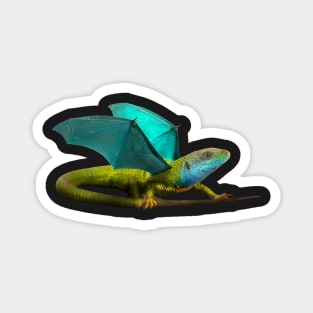 Aqua Dragon Magnet