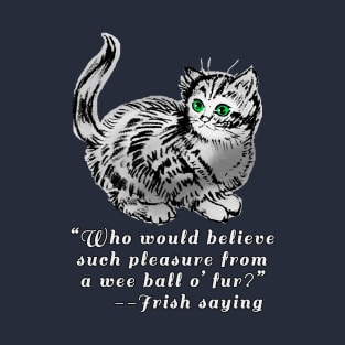 Cute Cat Design With Irish Saying T-Shirt