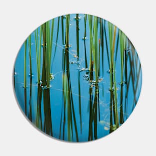 ‘Reedy Or Not’ - reed-bed reflections Pin