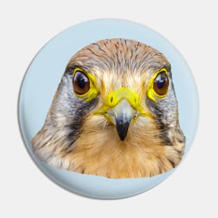 Head of a Kestrel Pin