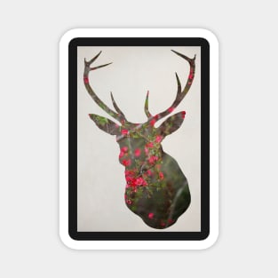 Deer With Quince Magnet