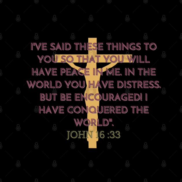 JOHN 16 : 33 by hypocrite human