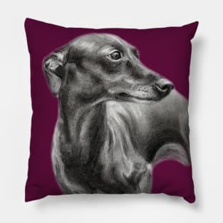 Greyhound Drawing Pillow