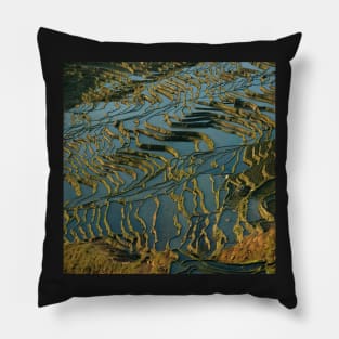 Rice fields landscape, water and soil Pillow