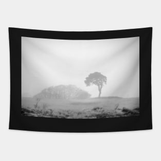 Lone pine in fog Tapestry