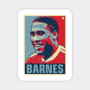 Barnes Magnet