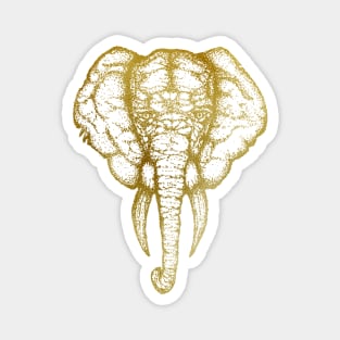 Elephant white gold Magnet