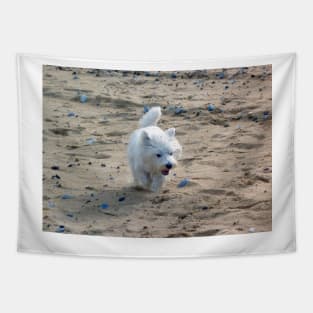 Beach dog Tapestry