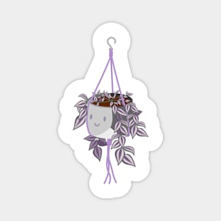 tradscantia plant in asexual pride pot Magnet