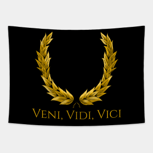 Veni Vidi Vici Gaius Julius Caesar Latin Quote Tapestry