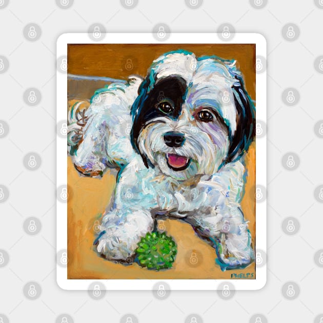 Colorful Shih Tzu With Toy by Robert Phelps Magnet by RobertPhelpsArt