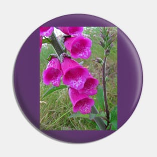 Foxglove (Digitalis) Pin