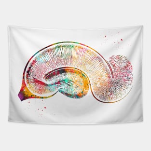 Brain Pyramidal Neurons Tapestry