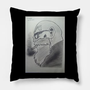 Maestro Roshi Pillow