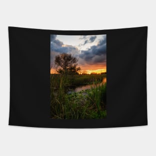 Florida Wetland at Sunset Tapestry