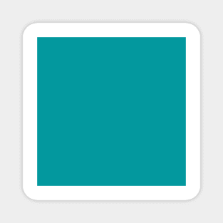 Dark turquoise color Magnet