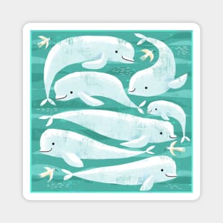Beluga Whales! Magnet