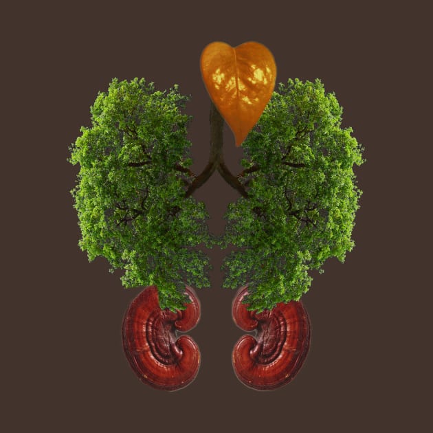 Natural organs by smassico