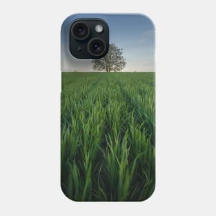 Solitary tree in the green field Phone Case