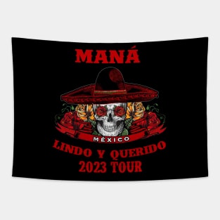 Mana 2023 Mexico Lin Do Y Querido Tapestry