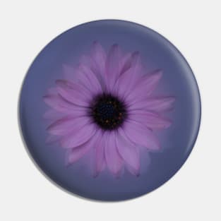 Shabby-chic African Daisy Flower Pin