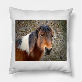 Assateague Island Pony Patricia Irene Pillow