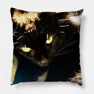 Green eyed black cat Pillow