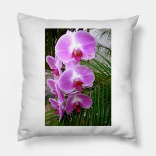 Purple Orchid Pillow