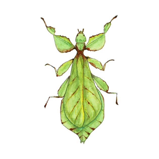 Leaf Bug Watercolor Illustration by Danica Templeton Art