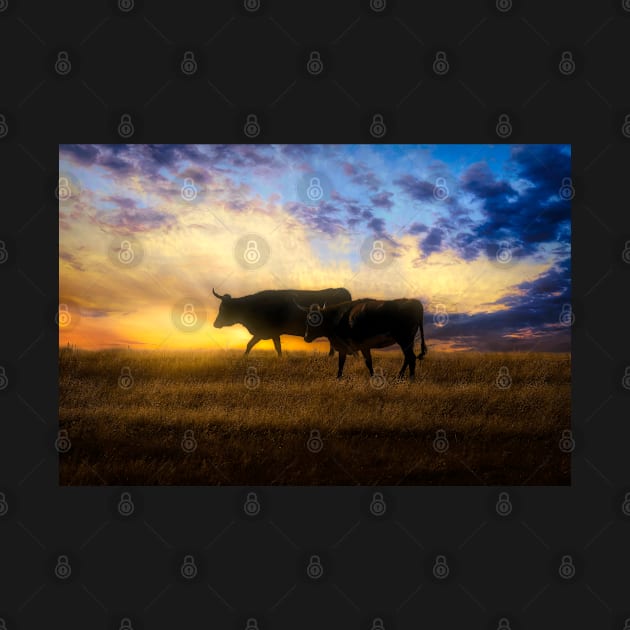 Pair Of Cows At Sunset photograph by art64