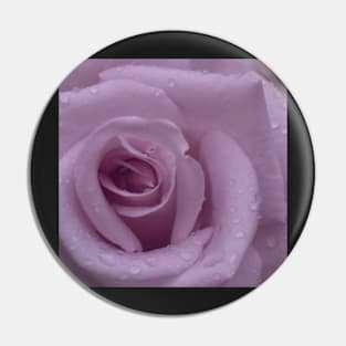 Pink Rose Close Up Pin