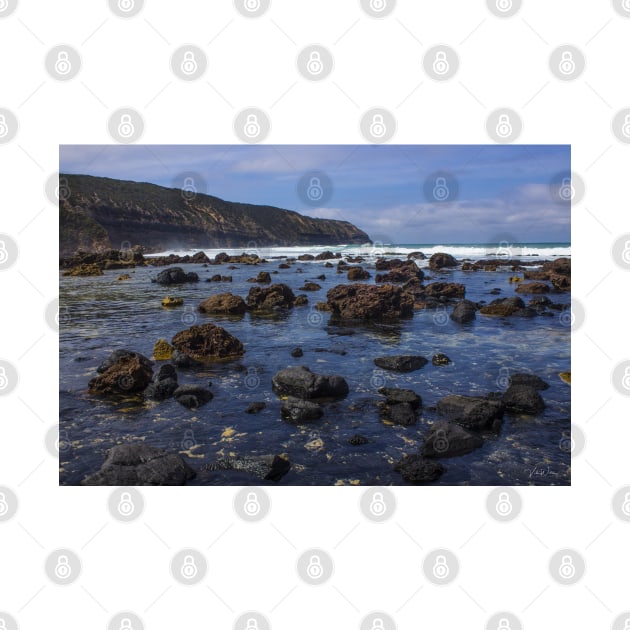 Fingal Beach, Cape Schanck, Mornington Peninsula, Victoria, Australia. by VickiWalsh