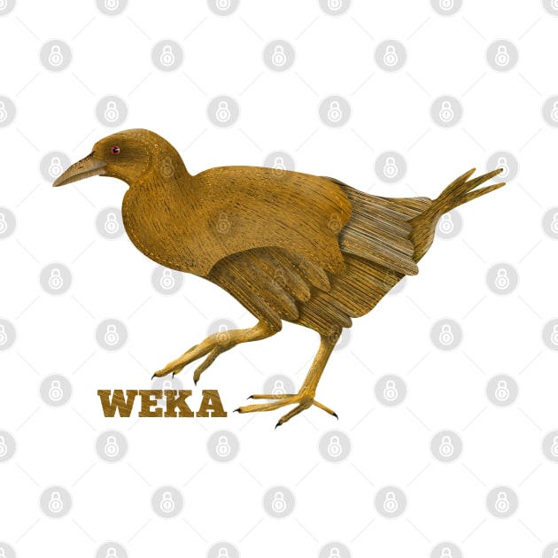 Weka New Zealand Bird by mailboxdisco