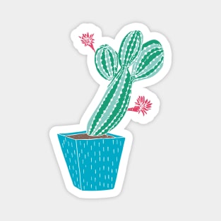 Cacti with flower Magnet