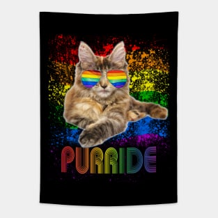 Pride Cat LGBT Gay Lesbian Tapestry