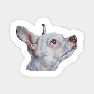 Chihuahua Fine Art Painting Magnet