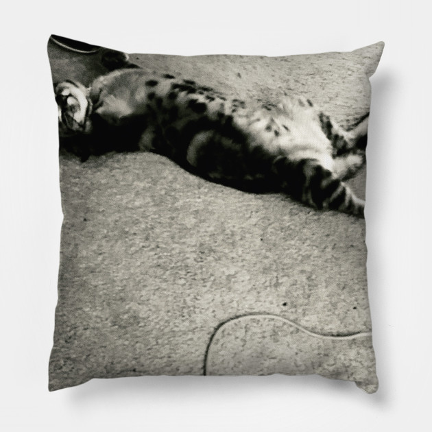 Catnip Funny Cats Pillow Teepublic