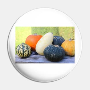 pumpkins and gourds Pin