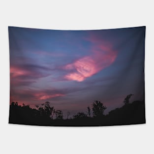 purple sunset Tapestry