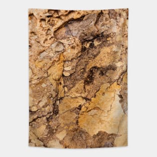 Ocean Eroded Rock Formation Tapestry