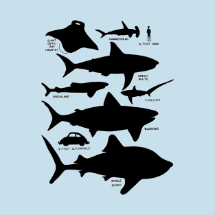 Sea Shadows - Shark Silhouettes T-Shirt