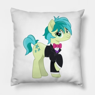 Formal Sandbar Pillow