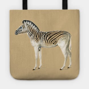 Vintage mountain zebra-animalia Tote