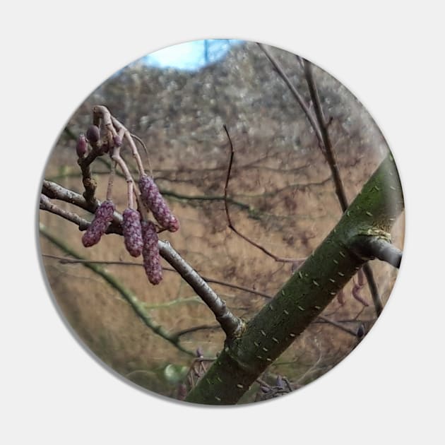 Catkins Pin by Celtic Morrigan