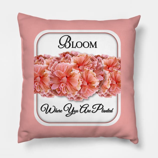 Bloom Where You Are Planted Pillow by MaryLinH