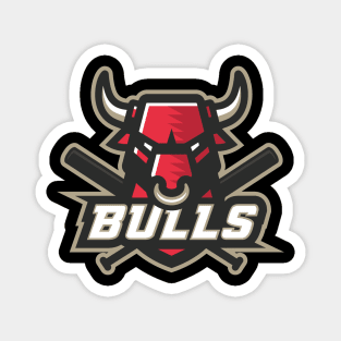 Bulls Magnet
