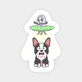 Funny french bulldog is being abducted by aliens Magnet