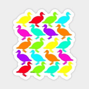 Colourful Geese walking Magnet